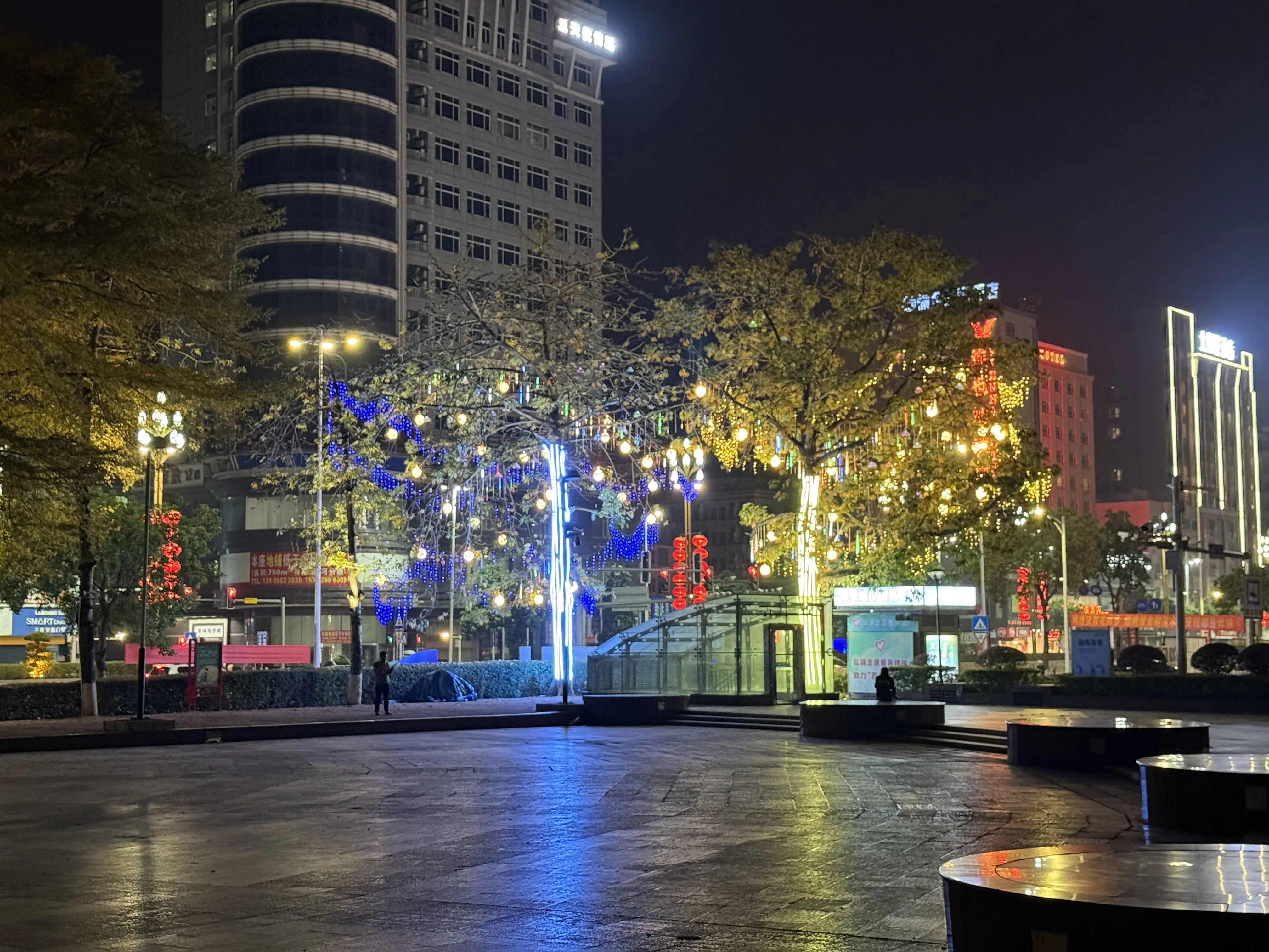 广场一处有灯光且好看的树